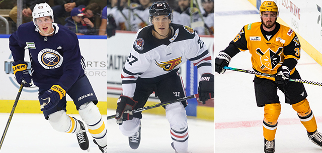 Amerks add three players on professional tryouts